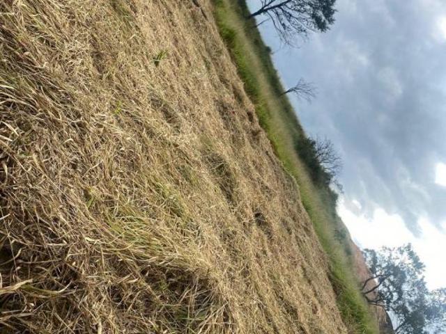 Terreno venda em Região Imediata de Sorocaba, Região Metropolitana de Sorocaba