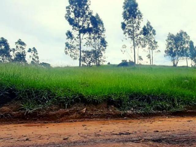 Terreno venda em Região Imediata de Sorocaba, Região Metropolitana de Sorocaba