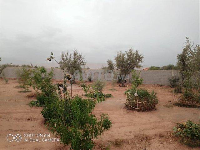 Propriété vente à Ouarzazate