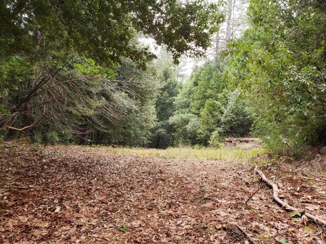 Land for sale in Challenge, California