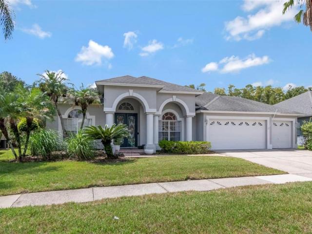 House for rent in Tampa, Florida