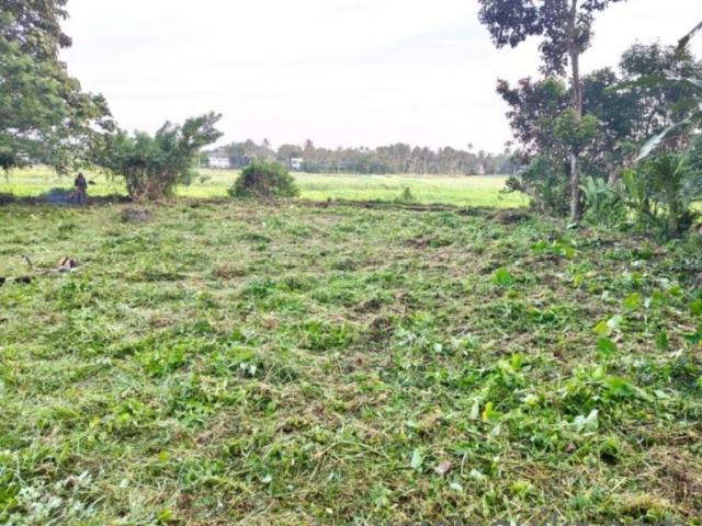 Property for sale in Kochi, Kerala