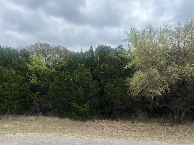 Land for sale in Texas