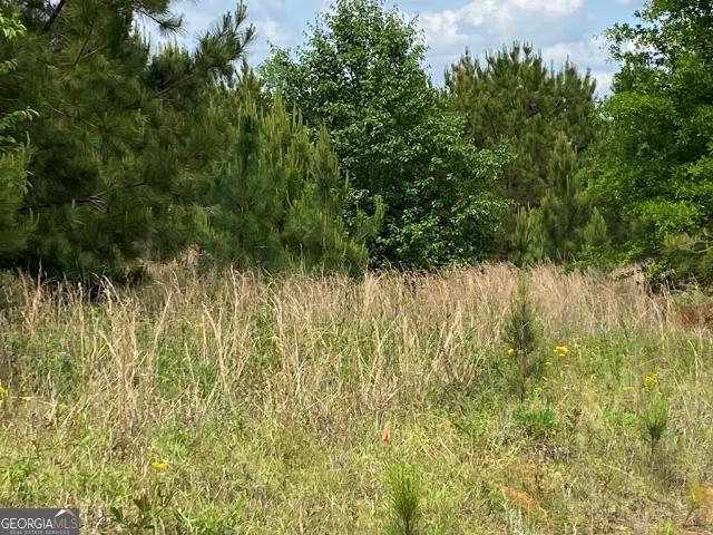 Land for sale in Dublin, Georgia