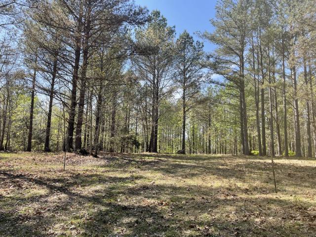 Land for sale in Deans, Centerville