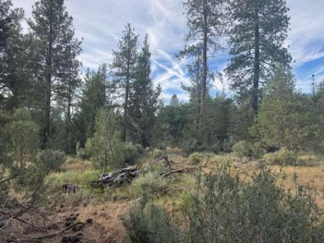 Land for sale in Shasta, California
