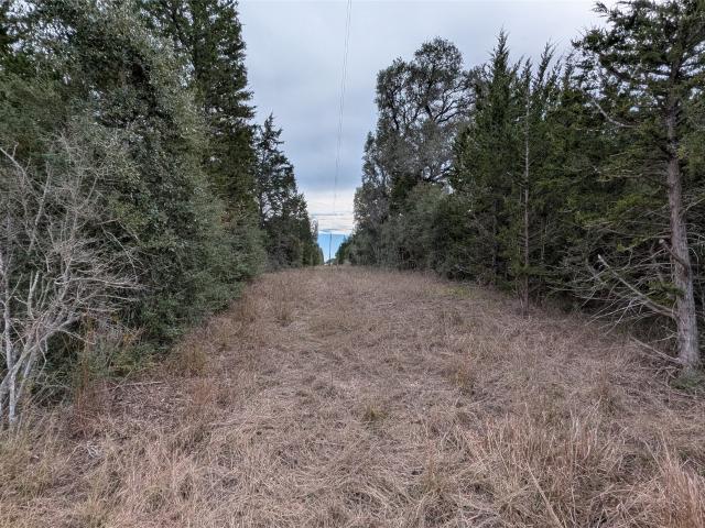 Land for sale in Hallettsville, Texas