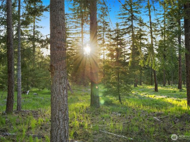 House for sale in Cle Elum, Washington