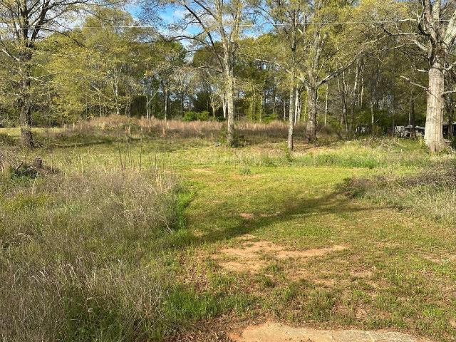 Land for sale in Monroe, Georgia