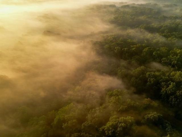 Land for sale in Versailles, Illinois
