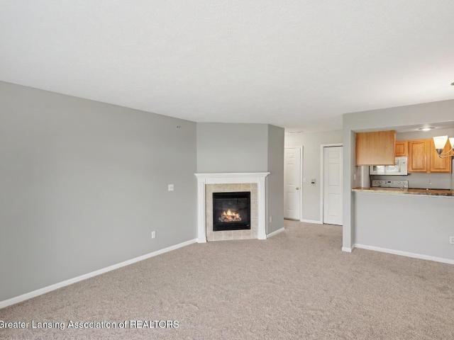Condo for sale in Mason, Michigan