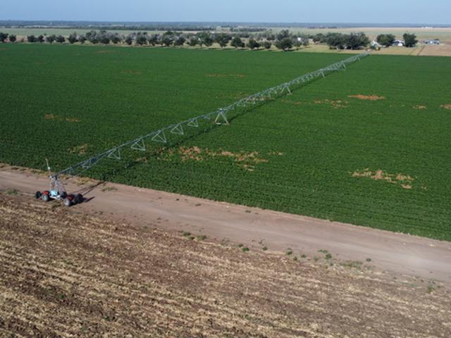 Farm for sale in Hondo, Medina County
