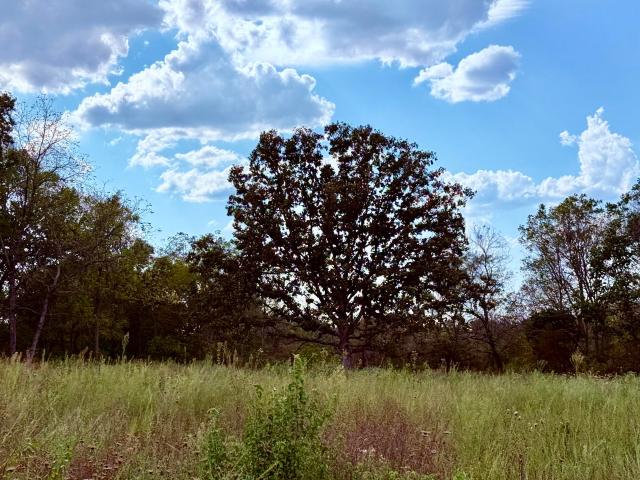 Land for sale in Cabool, Missouri