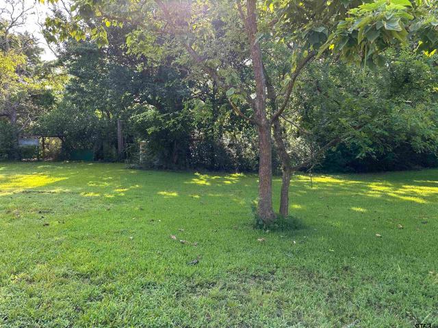 Land for sale in Overton, Texas