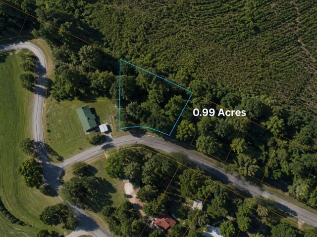 Land for sale in Swainsboro, Georgia