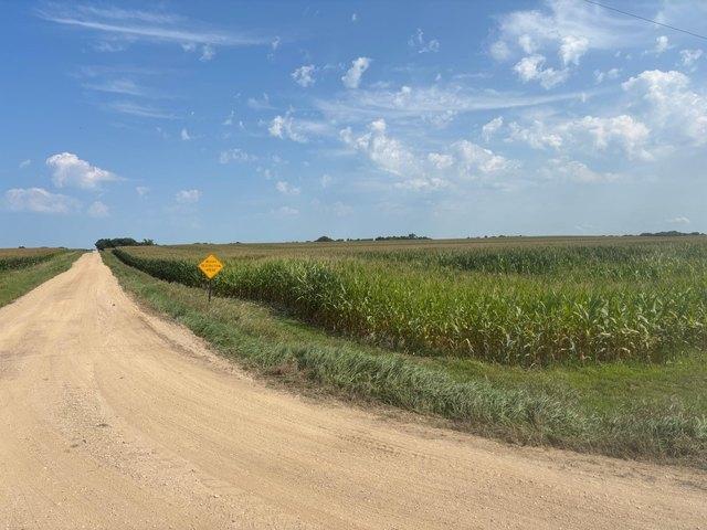 Land for sale in Milan, Minnesota