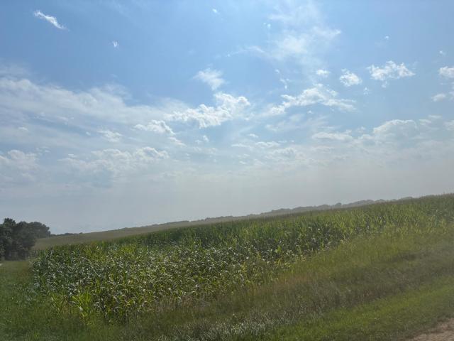 Land for sale in Milan, Minnesota