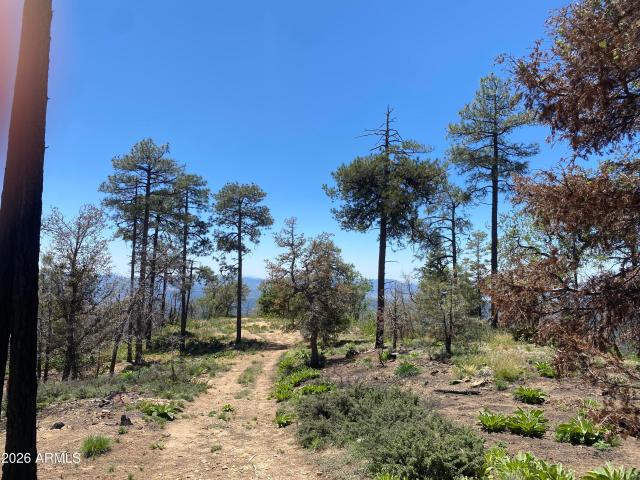 Land for sale in Prescott, Arizona
