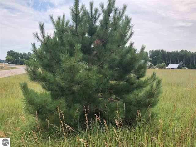 Land for sale in Sherman Township, Isabella County
