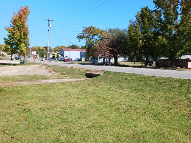 Land for sale in Ava, Missouri