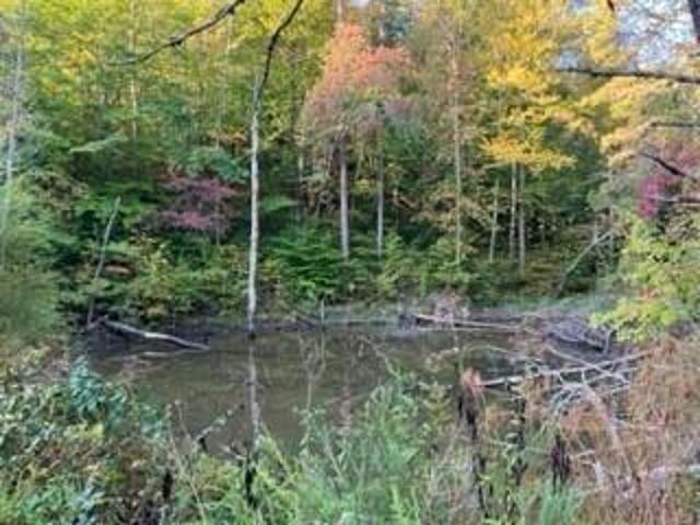 Land for sale in Blaine, Kentucky