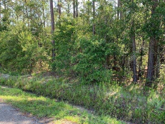 Land for sale in Saint Johns, Florida