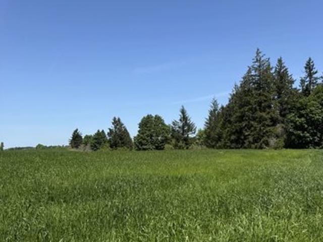 Land for sale in Monmouth, Polk County
