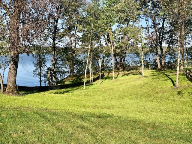 Land for sale in Todd, Minnesota