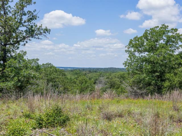 Farm for sale in Milam, Texas
