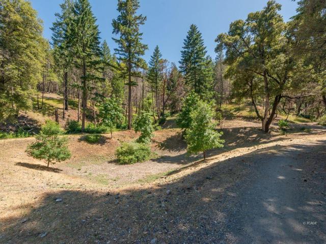 House for sale in Burnt Ranch, California