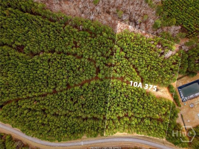 Land for sale in Tignall, Georgia