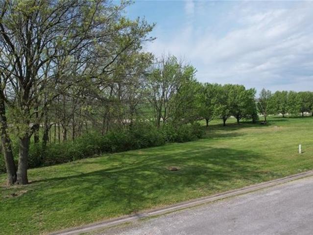 Land for sale in New Athens, Illinois