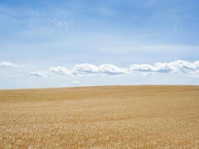 Land for sale in Imperial, California