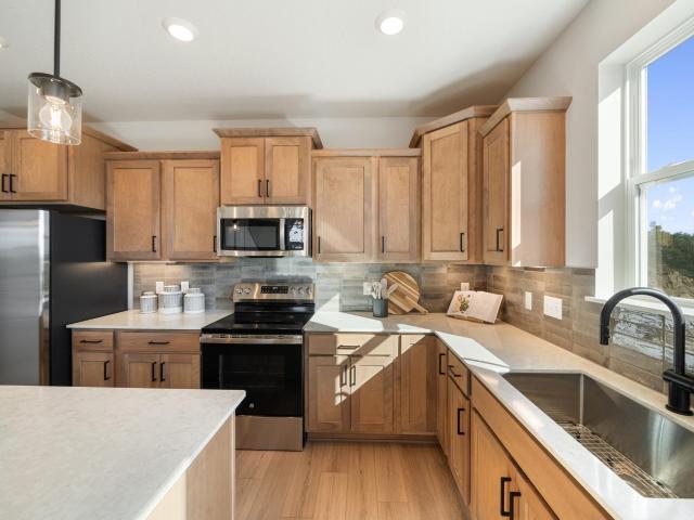 House for sale in Rosemount, Minnesota