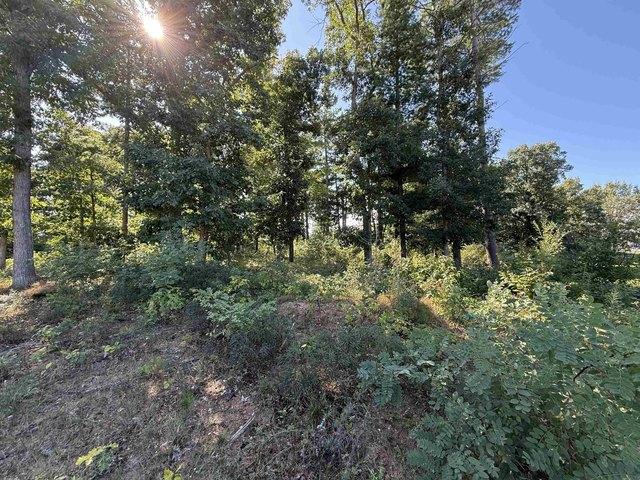 Land for sale in Stevens Point, Wisconsin