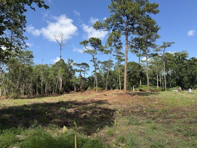 Land for sale in Christmas, Florida