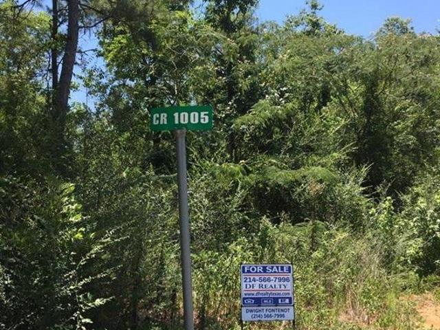 Land for sale in Newton, Texas