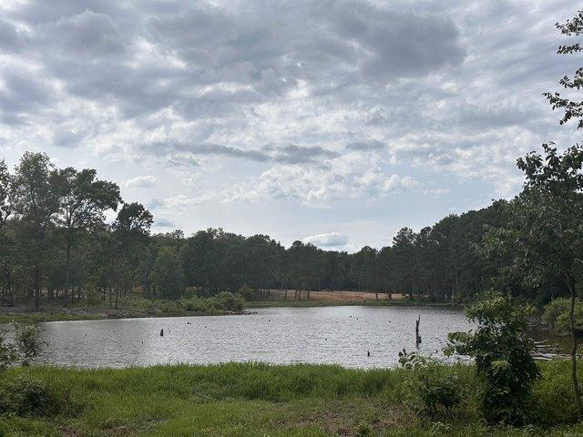 Land for sale in Ark