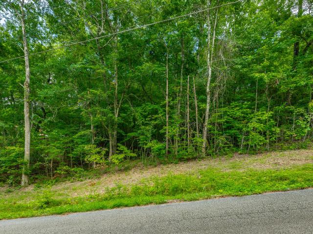 Land for sale in Whitwell, East Tennessee