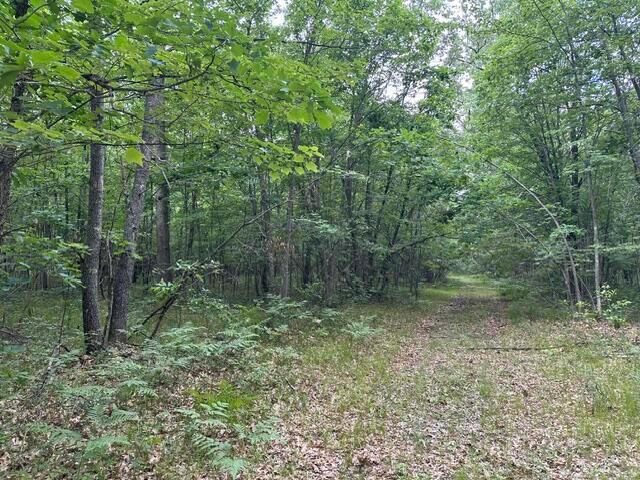 Land for sale in Michigan