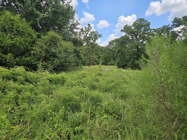 Land for sale in Grimes, Texas