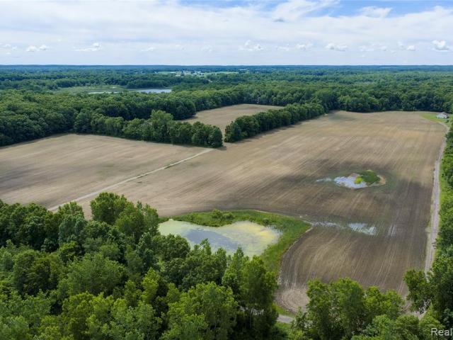 Land for sale in Linden, Michigan