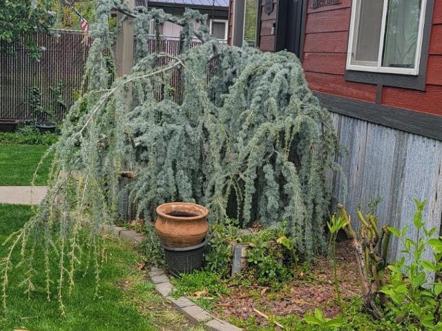 House for sale in Riggins, Idaho