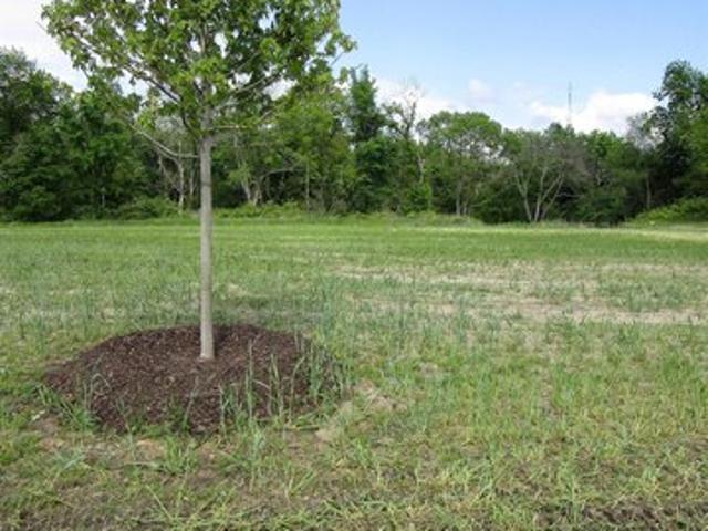 Land for sale in Iowa Falls, Iowa