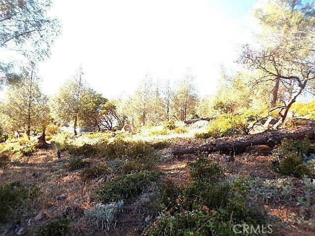 Land for sale in Lake, California