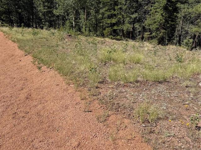 Land for sale in Teller, Colorado