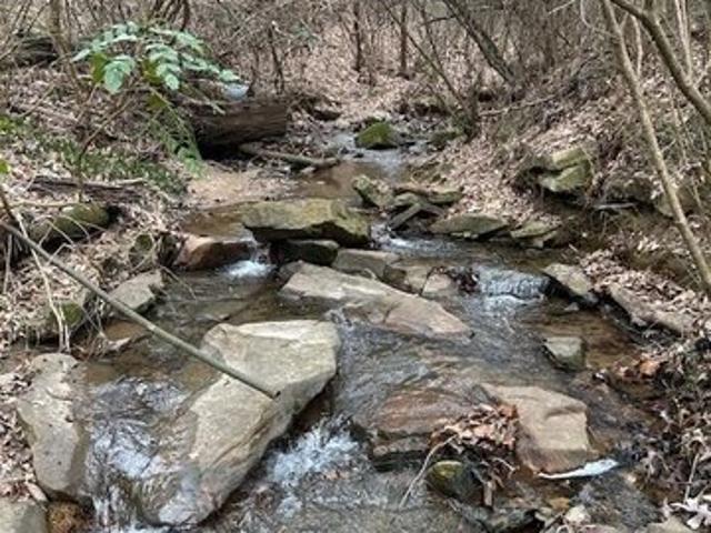 Land for sale in Tennessee