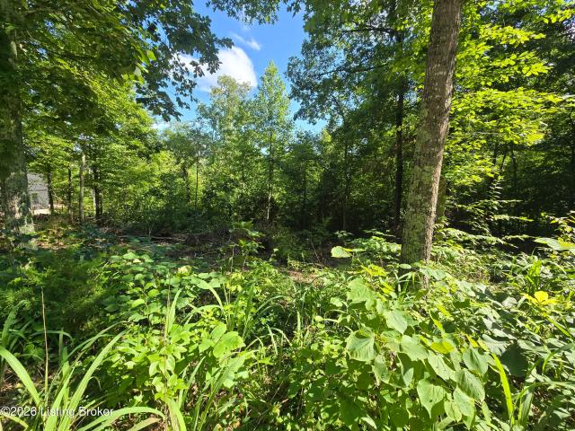 Land for sale in Big Clifty, Kentucky