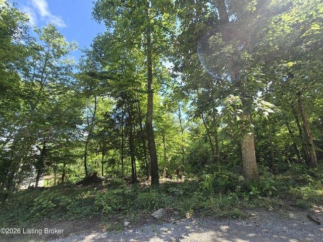 Land for sale in Big Clifty, Kentucky