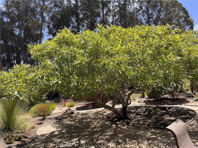 House for sale in Nipomo, San Luis Obispo County